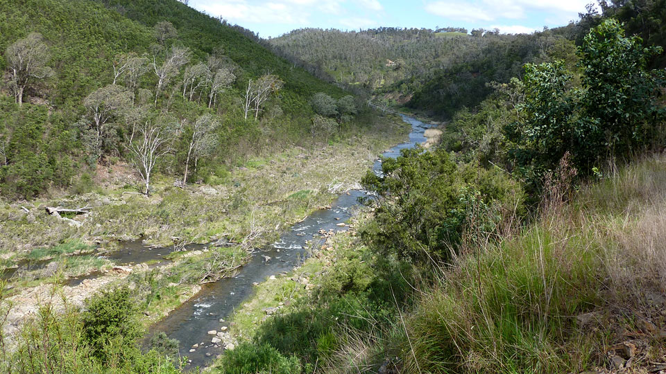 Tambo River scenery along the Great Alpine Road near Ensay, East Gippsland, Victoria